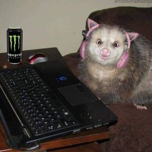 Meet your Posher, Drew